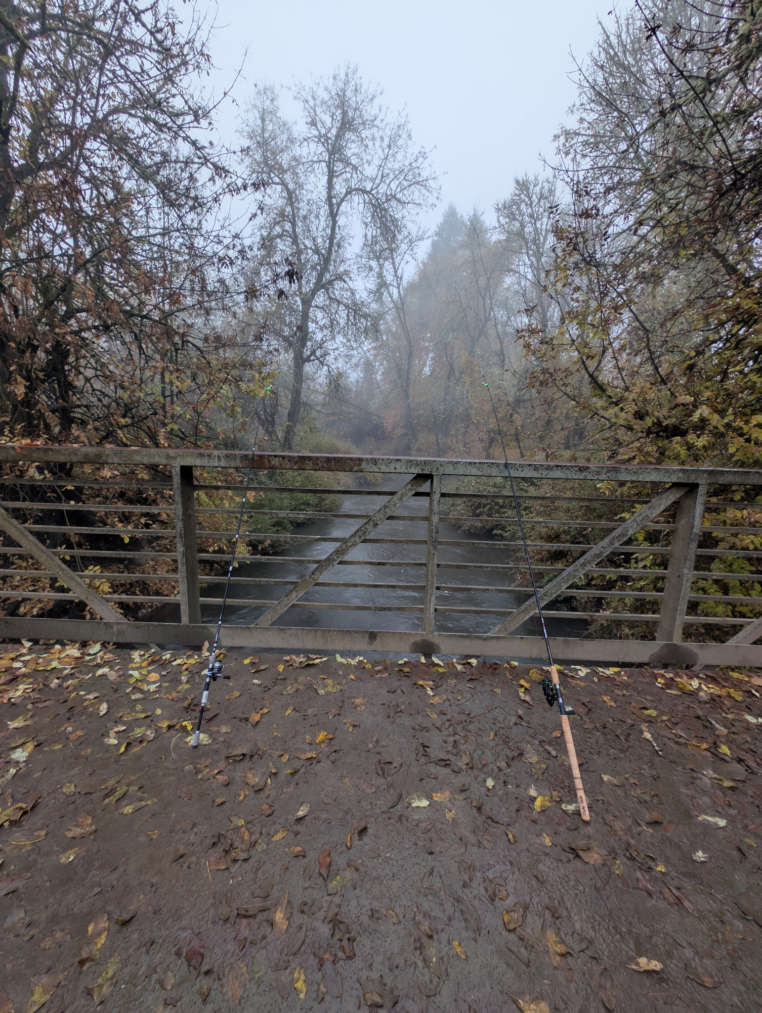 Fishing rods on a misty PNW river bridge